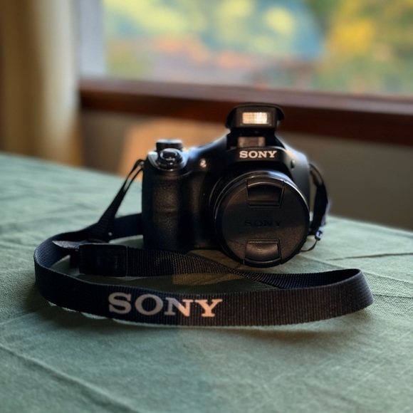 Sony Cyber-Shot DSC-H300 - Picture 2 of 7